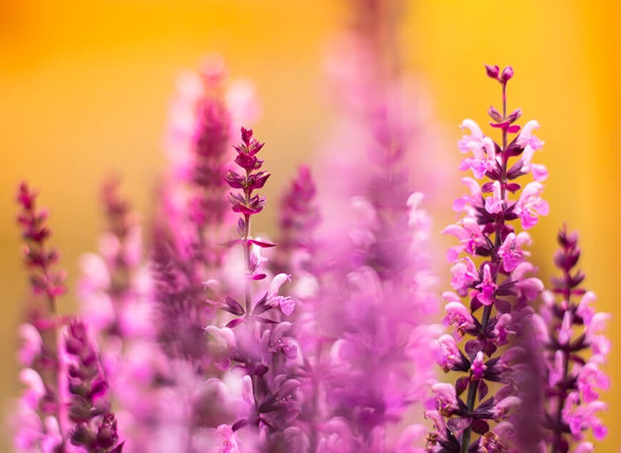 The Art of Seasonal Decorating with Fresh Flowers