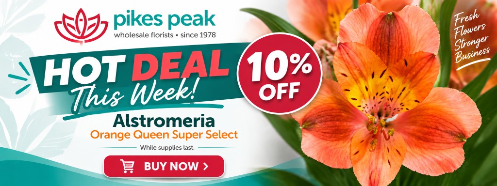 Hot deal this week